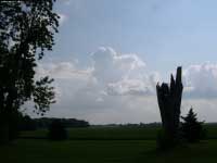 Evening Sky