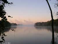 Mist