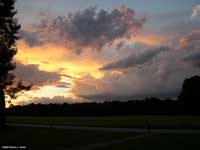 Pretty Clouds