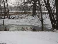 Pond in winter