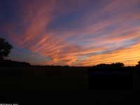 Orange Sunset