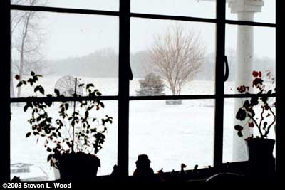 Kitchen Window
