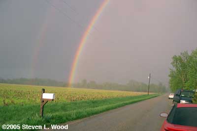 Tess's Rainbows