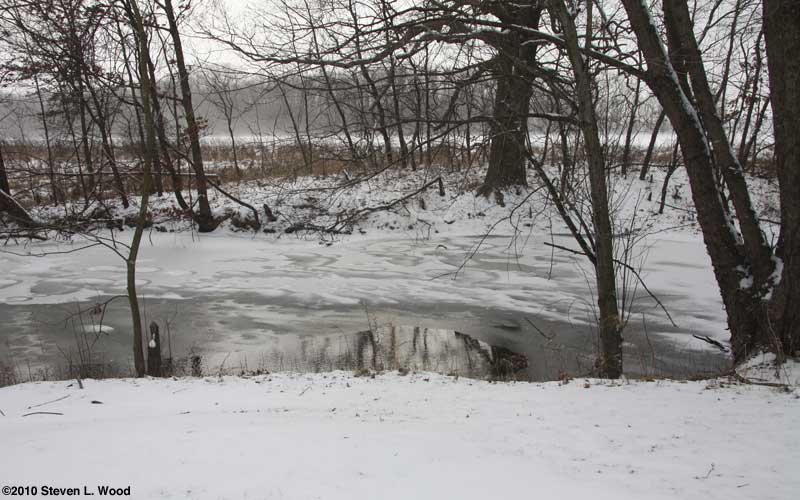 Pond in Winter