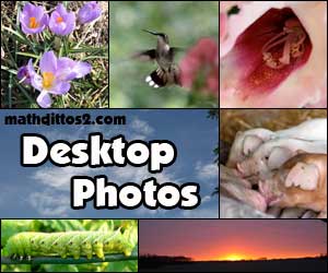 Desktop Photos