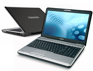 Satellite&reg; L500