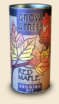 Red Maple Arbor Day Tree Kit
