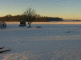 First snow 2002-2003