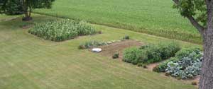 Garden 2005