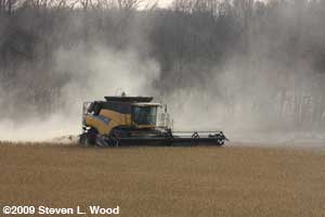 Combining beans