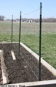 Trellis