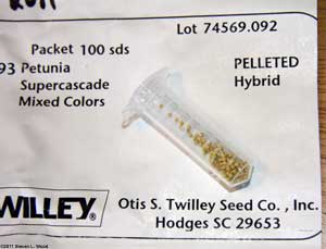 Pelleted petunia seed