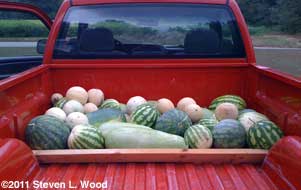 Melons for the mission
