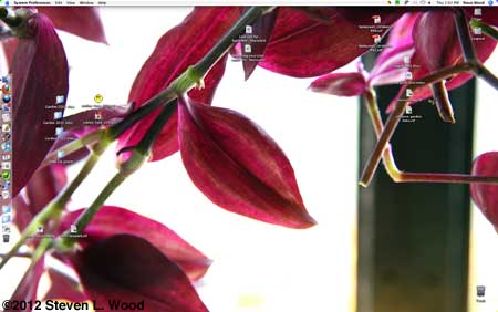 Wandering Jew desktop