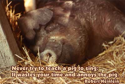 Heinlein pig