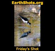 Kissing the Miror by Yoan Eynaud