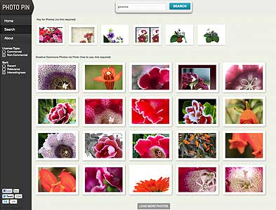 Photo Pin Search Results