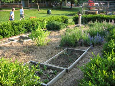 Riverside School Garden