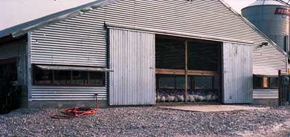 Turkey farm
