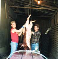 Skinning a pig