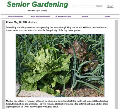 Senior Gardening