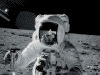 Alan Bean on Moon