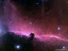 Horsehead Nebula