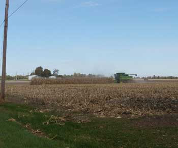 Finishing corn