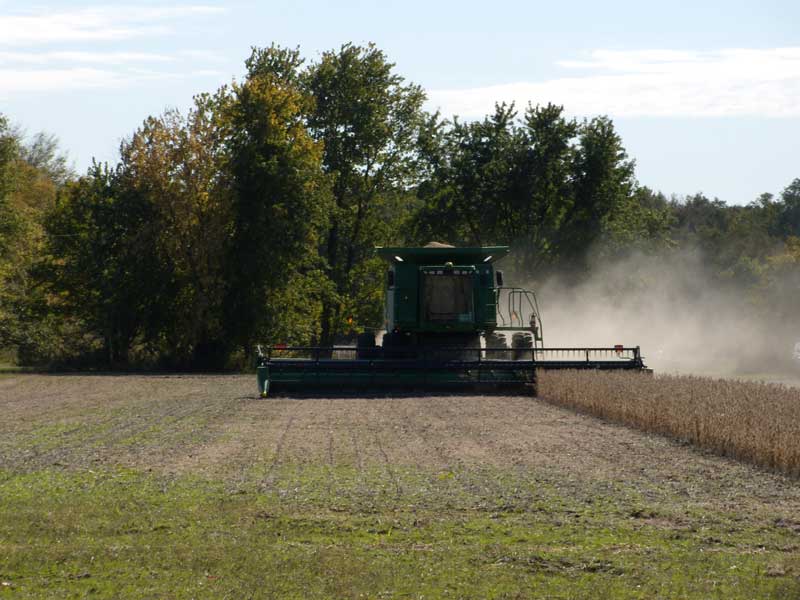 Finishing beans