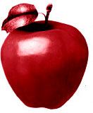 PBS's Newton's Apple